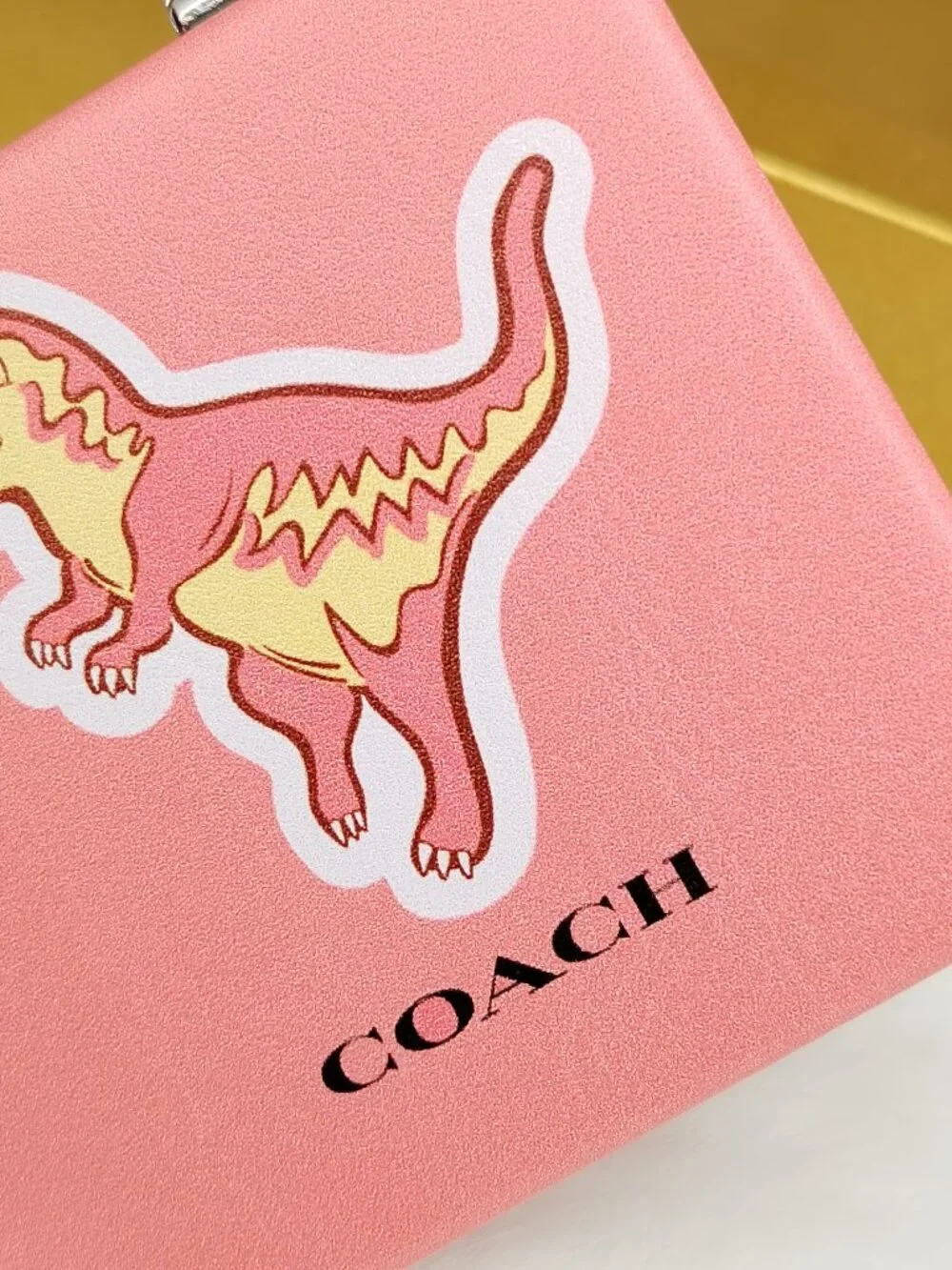 Coach mirror